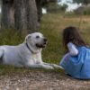 Growing up with a dog may be good for your gut health, study finds