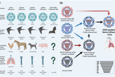 Frontiers | Zoonosis and zooanthroponosis of emerging respiratory ...