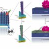 In a step toward solar fuels, durable artificial photosynthesis ...