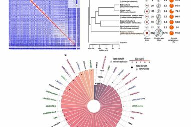 International team decodes the genome of the Greenland shark