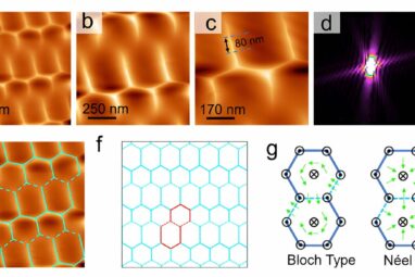 Intrinsic magnetic structure observed for the first time in a ...