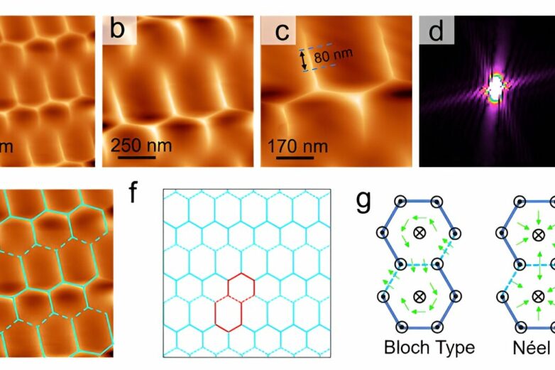 Intrinsic magnetic structure observed for the first time in a ...