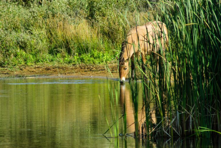 Levels of one 'forever chemical' are increasing in groundwater ...