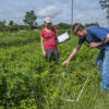 Maintaining an essential habitat: What's good for pollinators is ...