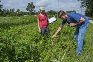 Maintaining an essential habitat: What's good for pollinators is ...