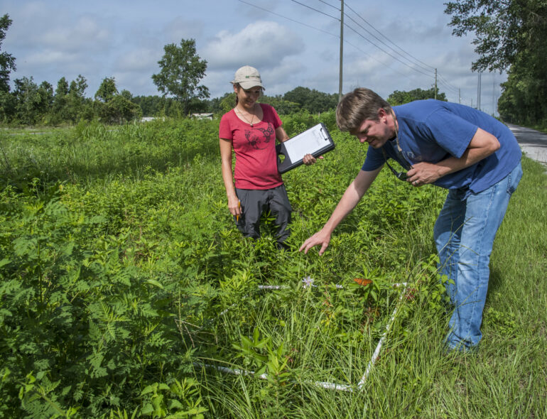 Maintaining an essential habitat: What's good for pollinators is ...