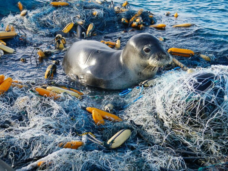 Hunting for 11-Ton Fishing Net in the War Against Ocean Trash