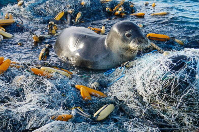 Hunting for 11-Ton Fishing Net in the War Against Ocean Trash