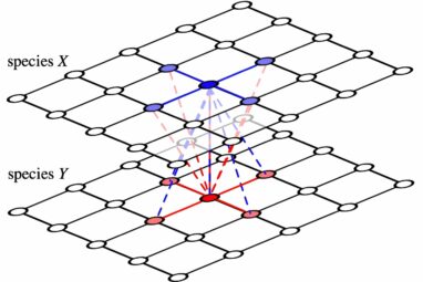 Mathematicians model a puzzling breakdown in cooperative behavior