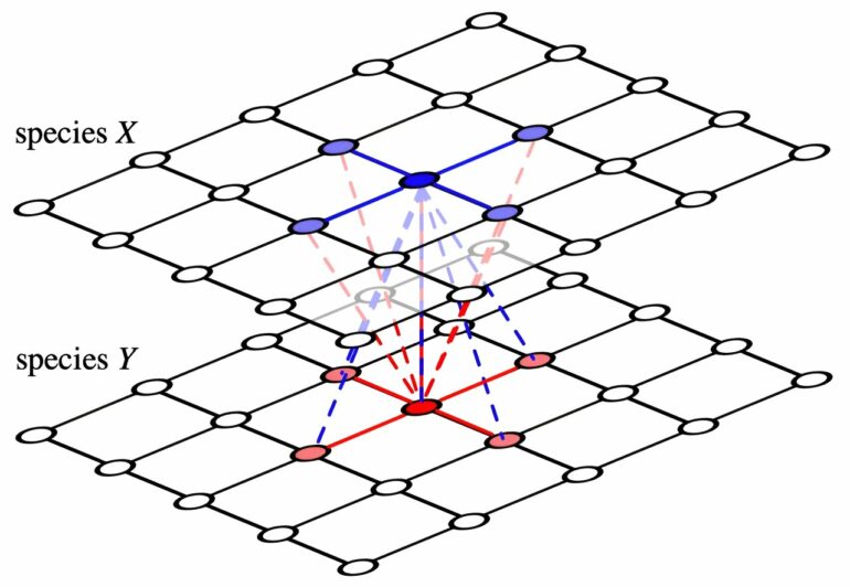 Mathematicians model a puzzling breakdown in cooperative behavior