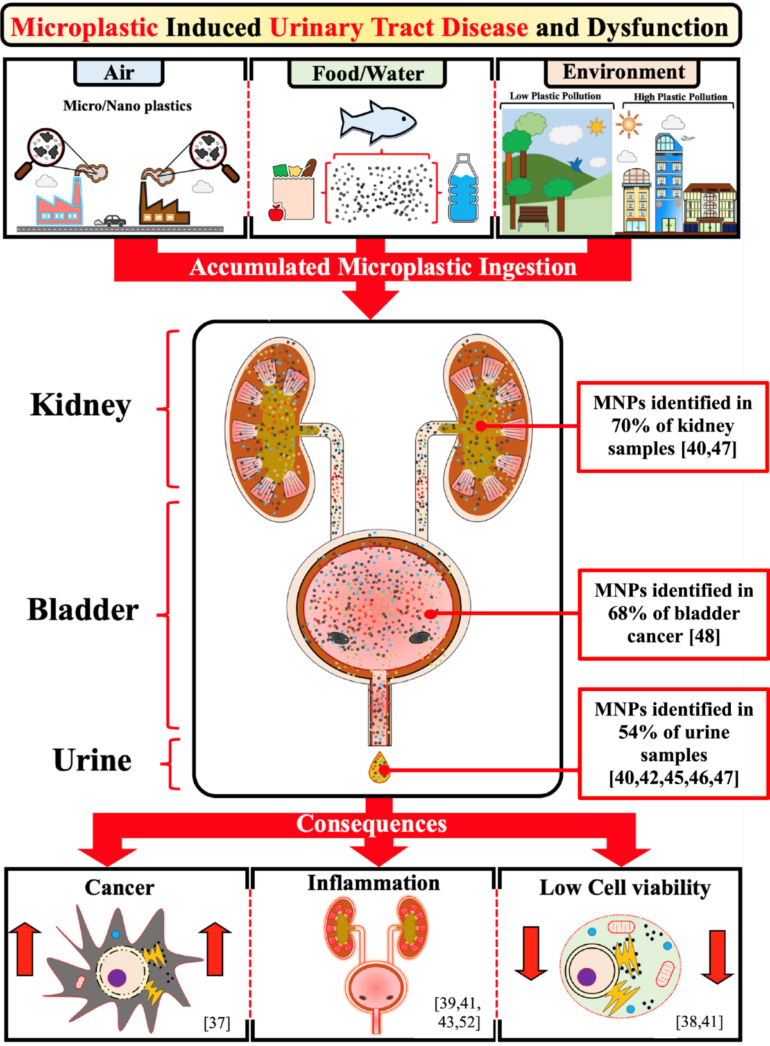 Plastic induced urinary tract disease and dysfunction: a scoping ...