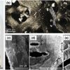 Nanostructures in the deep ocean floor hint at life's origin