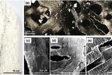 Nanostructures in the deep ocean floor hint at life's origin