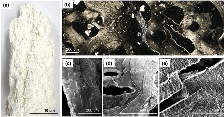 Nanostructures in the deep ocean floor hint at life's origin