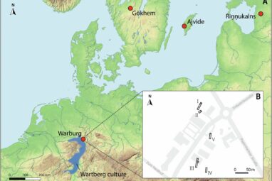 Neolithic bones reveal isolated Yersinia pestis infections, not ...