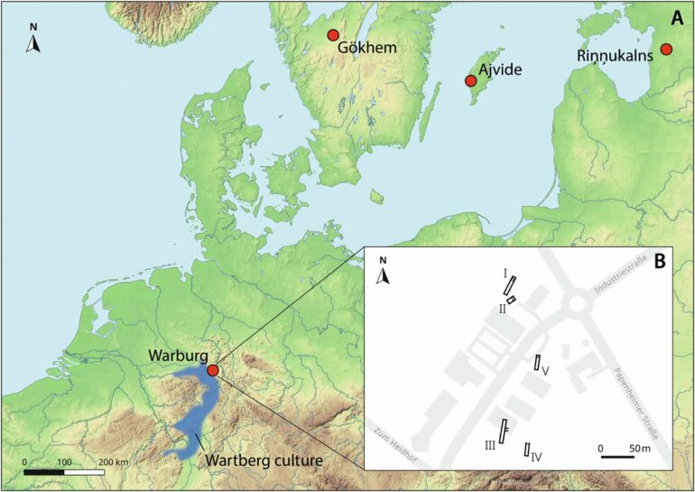 Neolithic bones reveal isolated Yersinia pestis infections, not ...