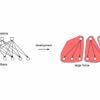 New algorithm improves bipartite matching by mimicking nervous system