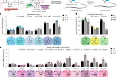 New approach may yield modified messenger RNAs for treating a wide ...