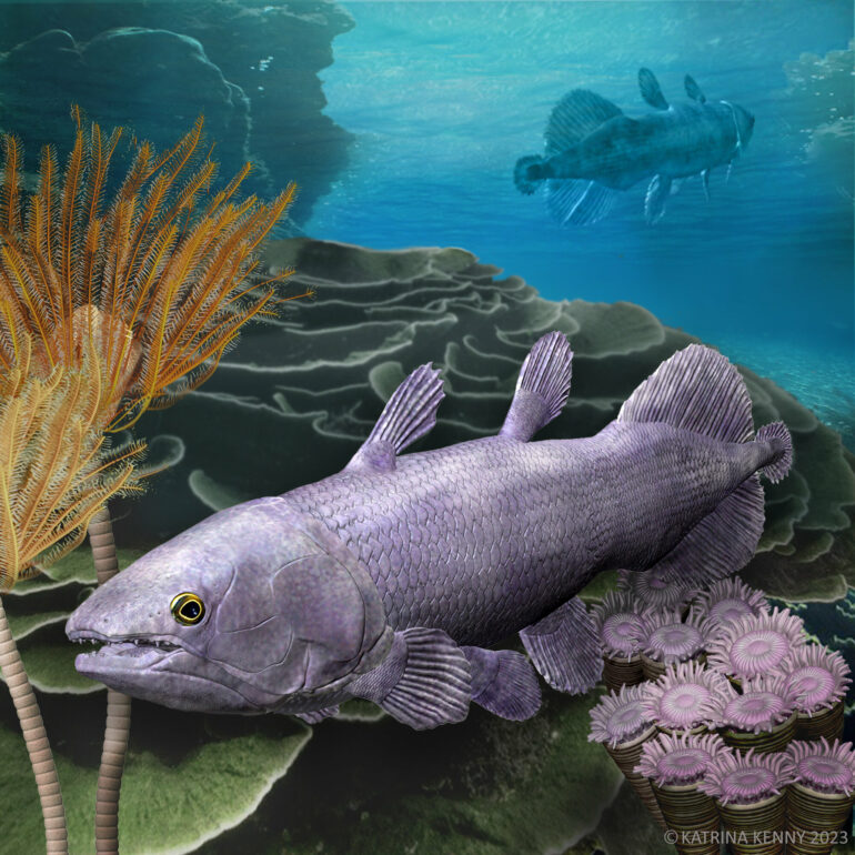 New fossil fish species scales up evidence of Earth's evolutionary ...