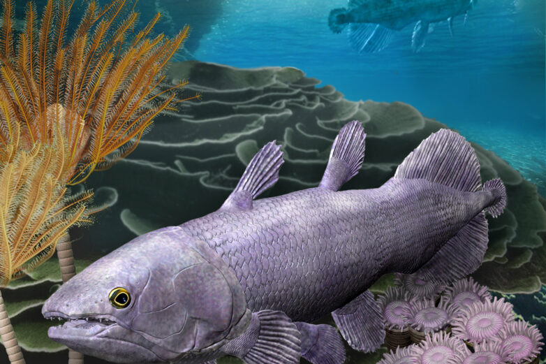 New fossil fish species scales up evidence of Earth's evolutionary ...