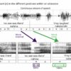 New study shows that word-initial consonants are systematically ...