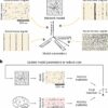 Novel framework allows for automated tuning of large-scale ...