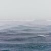 Oceans absorb 6% more carbon thanks to rain, study reveals