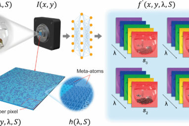 Seeing like a butterfly: Optical invention enhances camera ...