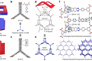 Organic supramolecular crystals with high hydrogen storage ...