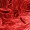 A world-first trial of lab-grown blood could revolutionise ...