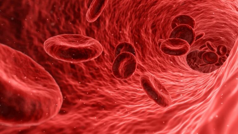 A world-first trial of lab-grown blood could revolutionise ...