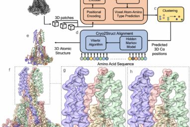 Paving the way for new treatments with a tool that builds 3D ...