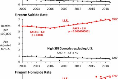 Prevalence of firearms in US drives public health crisis of gun ...