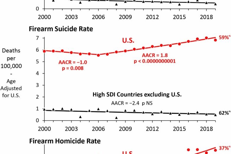 Prevalence of firearms in US drives public health crisis of gun ...