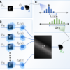 Fundamental limits of quantum error mitigation | npj Quantum ...