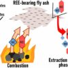 Recovering rare earth elements from coal ash for clean energy ...