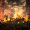 Research shows heat, drought and fire risk are increasing in South ...