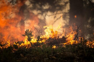 Research shows heat, drought and fire risk are increasing in South ...