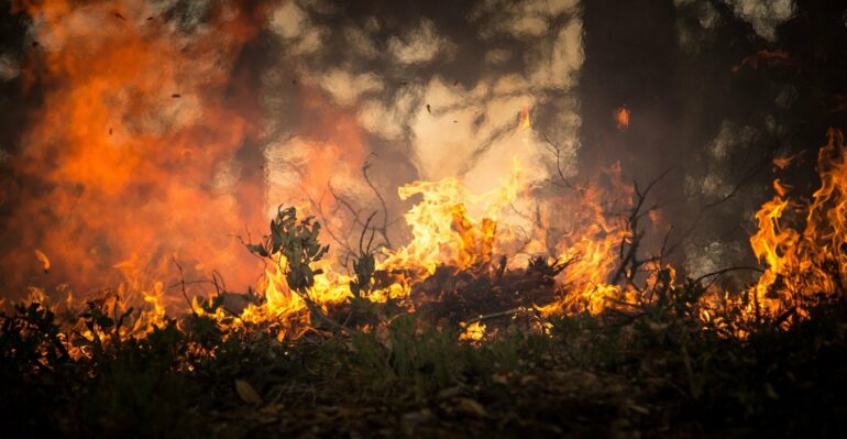 Research shows heat, drought and fire risk are increasing in South ...