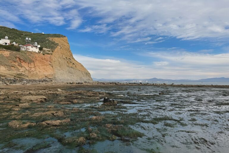 Researcher helps develop new technique to explore oceanic microbes