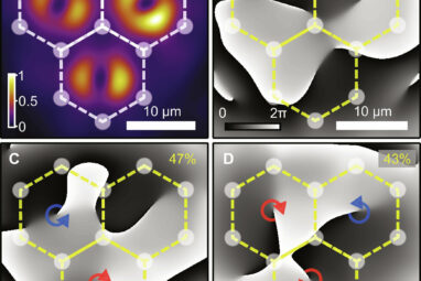 Researchers demonstrate spontaneous synchronization of quantum ...