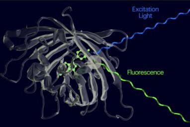 Researchers develop molecular biosensors that only light up upon ...