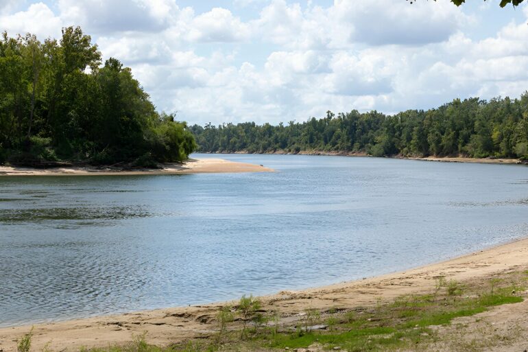 Researchers examine how drought and water volume affect nutrients ...