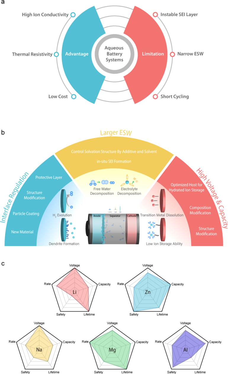 Challenges and possibilities for aqueous battery systems ...