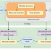 Researchers propose mechanistic framework to explain complex ...