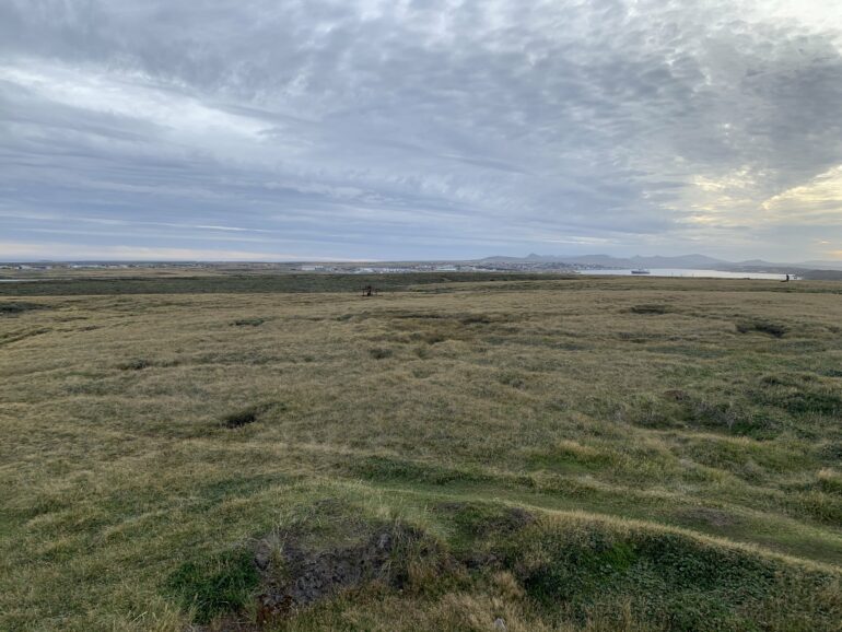 Rugged Falklands landscape was once a lush rainforest, researchers say