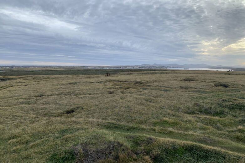 Rugged Falklands landscape was once a lush rainforest, researchers say