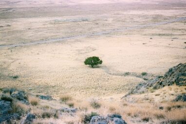 Scientists develop AI models able to predict future drought ...