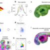 Pre-processing visualization of hyperspectral fluorescent data ...