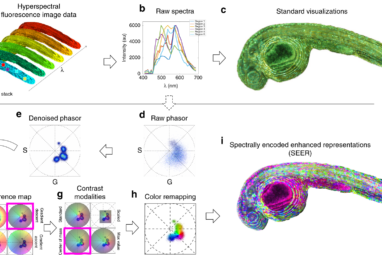 Pre-processing visualization of hyperspectral fluorescent data ...